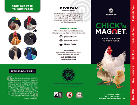 Chick'n Magnet Brochure pg 1