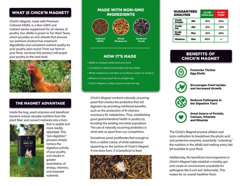 Chick'n Magnet Brochure pg 2