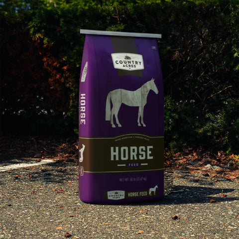 Bag of Purina Country Acres Horse Sweet Feed 12% in a 50 lb bag, showing the horse feed packaging and branding.