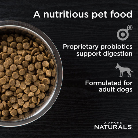 Diamond Naturals Adult Beef Meal & Rice Formula dry dog food with beef kibble and rice in a natural setting.