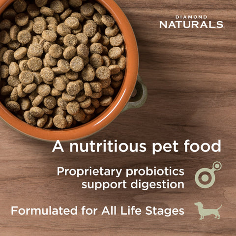 Diamond Naturals Skin & Coat Salmon & Potato Formula dry dog food kibble in a bag, showcasing the nutritious dog food blend.