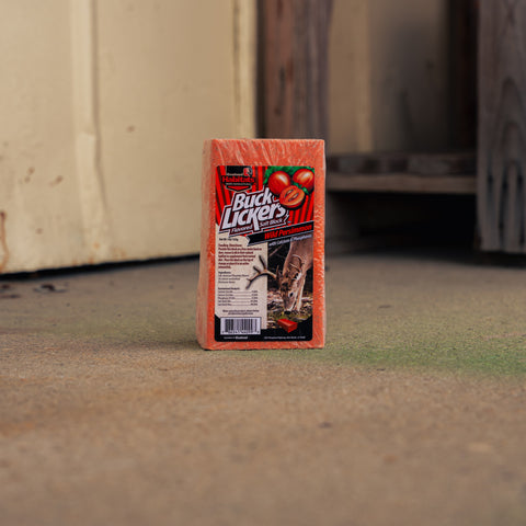 A package of Buck Lickers wild persimmon salt block standing upright on a concrete floor in an outdoor or semi-outdoor setting with a blurred background.