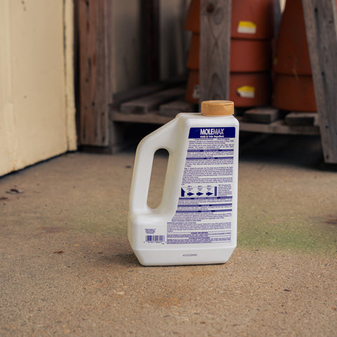 A white plastic jug of MoleMax Mole and Vole Repellent ground bait with a yellow label and tan cap, standing on a concrete floor in an outdoor storage area.