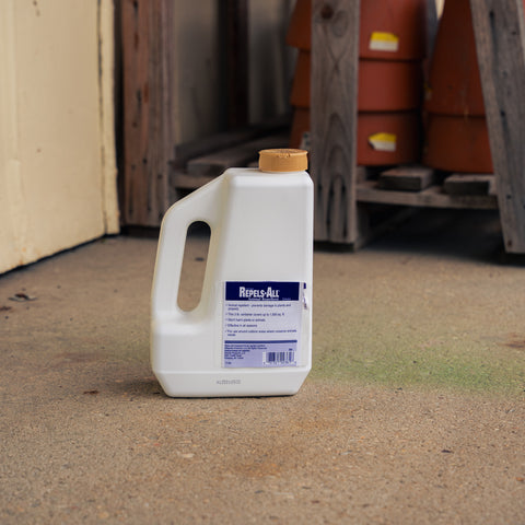 A white plastic jug of Repels-All repellent with a blue and white label, standing on a concrete floor in a workshop or garage setting.