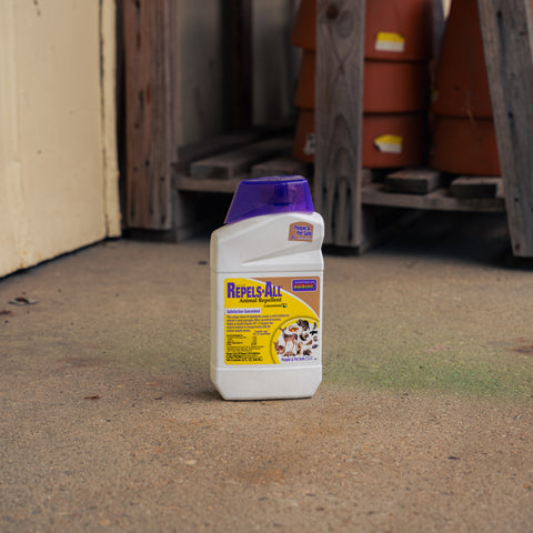 A white plastic bottle of Repels-All with a translucent purple cap, standing on a concrete floor in a workshop or garage setting.