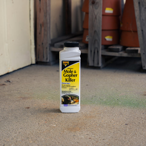 A bottle of Mole & Gopher Killer standing on a concrete floor in a garage or shed with wooden pallets and stacked terracotta pots in the background.