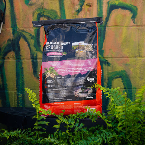A large bag of Wildgame Sugar Beet Crushed Pellet Feed stands upright outdoors in front of a graffiti-covered wall, surrounded by green plants.
