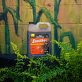 A bottle of Antler King Smoother deer molasses solution, placed on a black surface with green ferns in the foreground and a painted brick wall in the background.