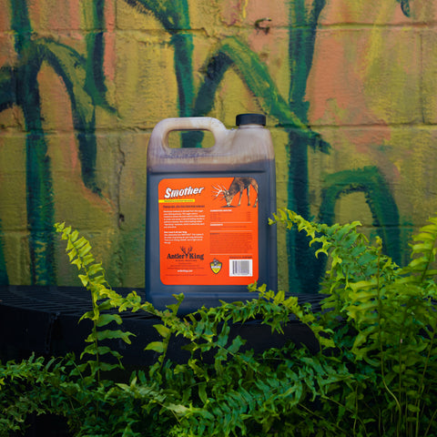 A bottle of Antler King Smoother deer molasses solution, placed on a black surface with green ferns in the foreground and a painted brick wall in the background.