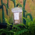 A bag of Mill Deer Plot Mix - 6 lb. Annual Mix plant % acre product standing on a black surface with green ferns in the foreground and a painted brick wall behind it.