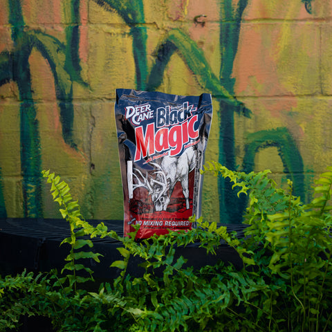 A bag of Deer Cane Black Magic deer attractant standing upright on a black surface, surrounded by green ferns in front of a graffiti-covered wall.