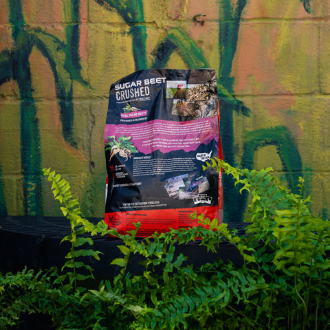 A large bag of Wildgame Sugar Beet Crushed Pellet Feed stands upright outdoors in front of a graffiti-covered wall, surrounded by green plants.