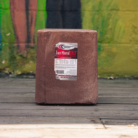 A large rectangular block of Champion's Choice Trace Mineral Salt sits on a weathered wooden deck in front of a colorful, blurred painted brick wall.