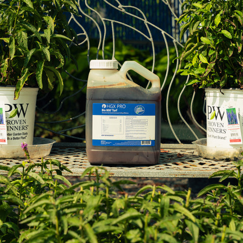 A large plastic jug of HGX Pro Bio 800 Turf medium-dark liquid with a white cap and blue label, placed on a metal garden table between potted plants in a garden setting.