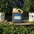 A large plastic jug of HGX PRO Bio 800 Tree and Shrub biostimulant sits on a metal garden table outdoors, flanked by potted plants on either side.