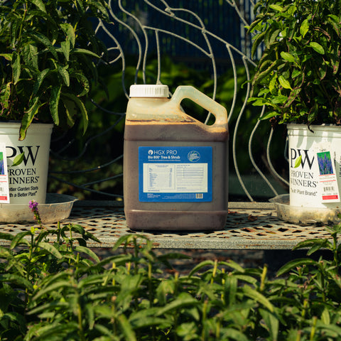 A large plastic jug of HGX PRO Bio 800 Tree and Shrub biostimulant sits on a metal garden table outdoors, flanked by potted plants on either side.
