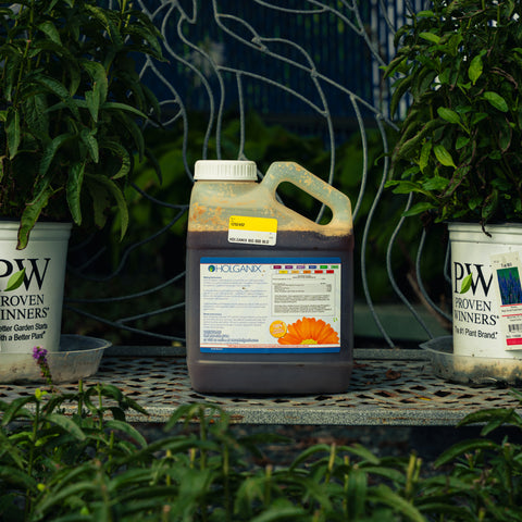 A large plastic jug of Holganix Bio 800 Bloom biostimulant, filled with dark brown liquid, sits on a metal table between potted plants.