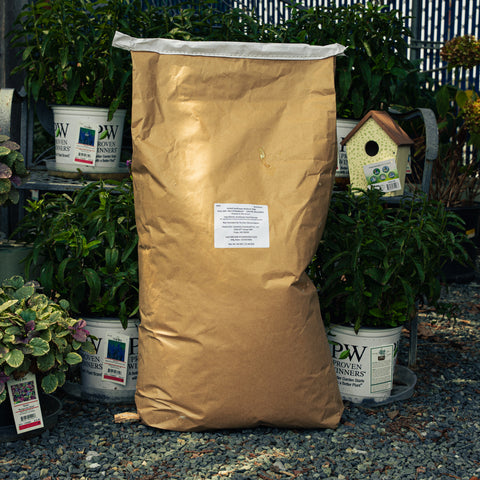 A large brown paper bag of Sunflower Medium Chips stands upright on gravel outdoors, surrounded by potted green plants and a small birdhouse. A white label is printed on the front of the bag.