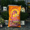 A large orange bag of Birds Luv' Em Wild Bird Feed stands on gravel in a garden center or nursery setting, surrounded by potted plants and a birdhouse.