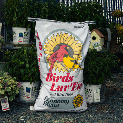 A large white bag of Birds Luv'Em Wild Bird Feed Economy Blend stands on gravel in a garden center or nursery, surrounded by potted plants and a birdhouse.