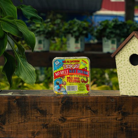 A package of Mealworm Delight No Melt Suet Dough feeding worms sits on a dark wooden deck railing, with a blurred garden background featuring potted plants, a birdhouse, and green leaves.