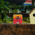 A package of Sizzle 'N Heat Suet by Wild Delight is displayed on a rustic wooden table in a garden setting, with a birdhouse on the right and green foliage on the left.