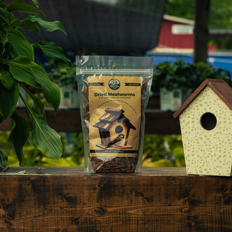A bag of Dried Mealworms by Bird Pro is displayed on a wooden surface next to a decorative birdhouse, with a garden background.
