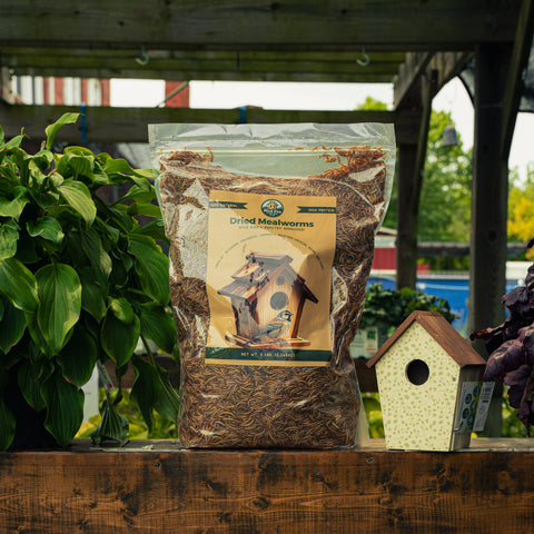 A bag of Dried Mealworms by Bird Pro is displayed on a wooden surface next to a decorative birdhouse, with a garden background.