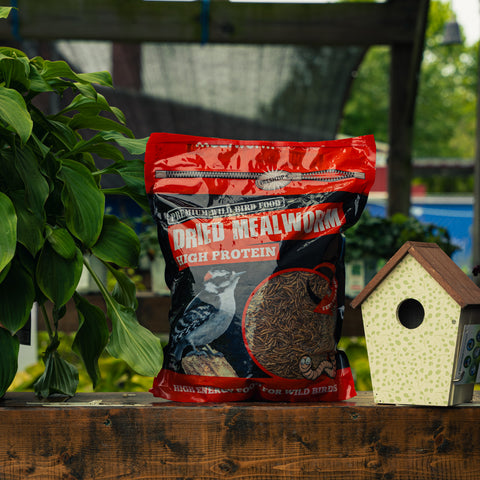 A bag of Wild Bird Food Dried Mealworm High Protein bird feed placed on a wooden table outdoors, next to a small birdhouse and green plants.