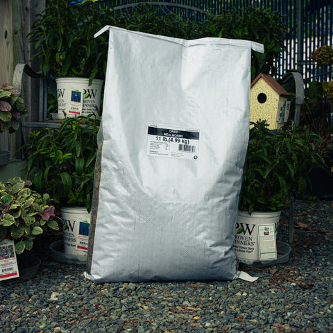 A large white plastic bag of Dried Mealworms standing upright on gravel, surrounded by potted green plants and a small birdhouse in a garden setting.