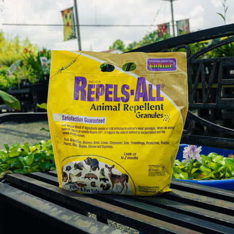 A yellow bag of Repels-All Animal Repellent Granules standing on a black metal garden bench in a garden setting.