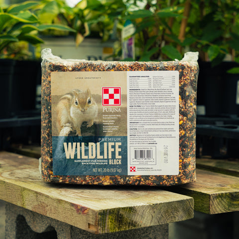 A 20 lb block of Purina Premium Wildlife Block supplement, displayed on a wooden table in a greenhouse setting with other plants in the background.
