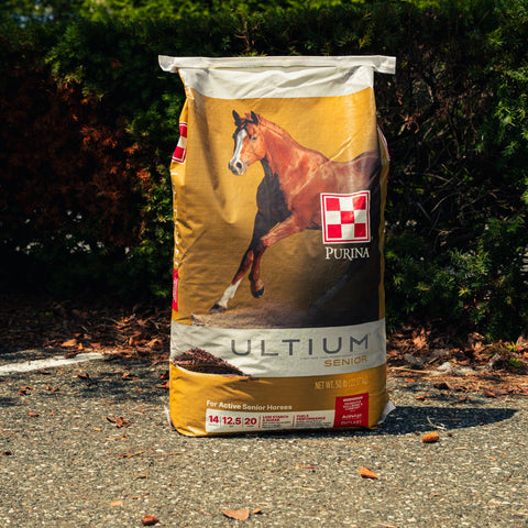 A large bag of Purina Ultium Senior horse feed supplement stands on a gravel path outdoors with dark green bushes in the background. The bag is tan and white with a photo of a brown horse and the Purina logo.