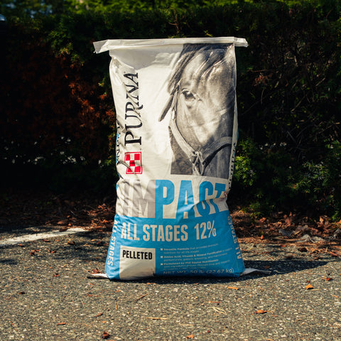 A large bag of Purina Impact All Stages 12% Pelleted horse feed standing on a gravel path outdoors with dark green foliage in the background.