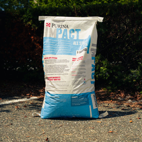 A large bag of Purina Impact All Stages 12% Pelleted horse feed standing on a gravel path outdoors with dark green foliage in the background.