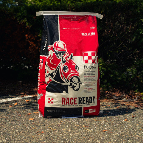 A 50 lb bag of Purina Race Ready horse feed supplement stands on an asphalt ground with dark green foliage in the background. The bag is red, black, and white with a graphic of a horse and jockey.