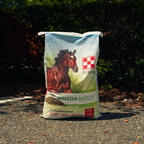 A bag of Purina Omega Match horse feed supplement stands on a gravel path outdoors with dark green bushes in the background. The bag is white with a large image of a brown horse and green and red branding.
