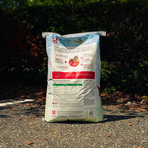 A bag of Purina Omega Match horse feed supplement stands on a gravel path outdoors with dark green bushes in the background. The bag is white with a large image of a brown horse and green and red branding.