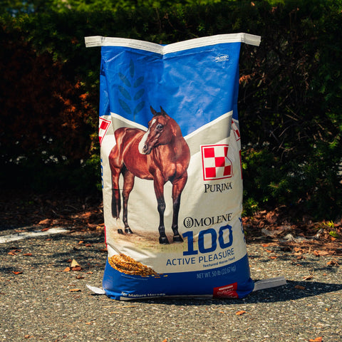 A large bag of Purina Molene 100 Active Pleasure horse feed standing on pavement outdoors with trees and shrubs in the background.