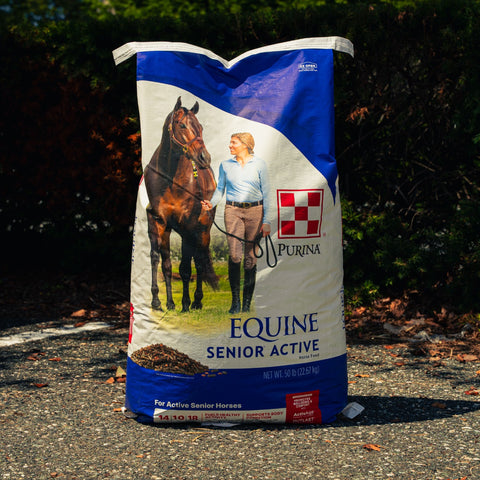 A large bag of Purina Equine Senior Active horse feed stands upright outdoors on a paved surface with dark green foliage in the background. The bag is blue, white, and brown, featuring an illustration of a woman leading a brown horse.