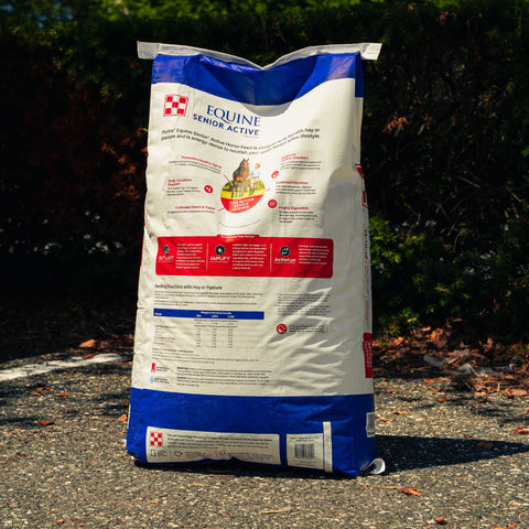 A large bag of Purina Equine Senior Active horse feed stands upright outdoors on a paved surface with dark green foliage in the background. The bag is blue, white, and brown, featuring an illustration of a woman leading a brown horse.