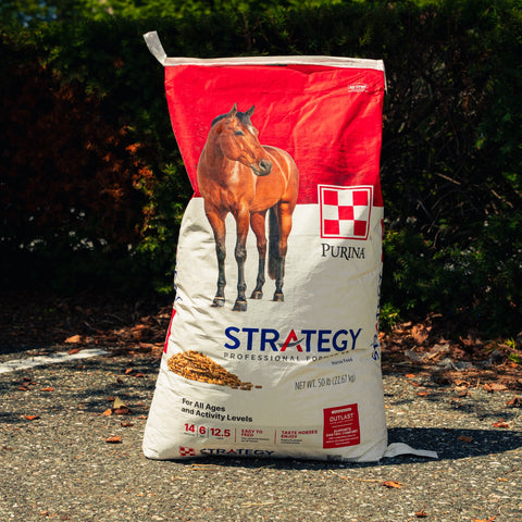 A large bag of Purina Strategy horse feed supplement stands outdoors on a gravel path with dark green foliage in the background. The bag is white and red with a photo of a brown horse on the front and the Purina brand logo.