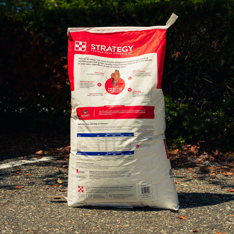 A large bag of Purina Strategy horse feed supplement stands outdoors on a gravel path with dark green foliage in the background. The bag is white and red with a photo of a brown horse on the front and the Purina brand logo.
