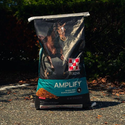 A bag of purina amplify horse supplement on asphalt and with a green background