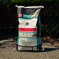 A large bag of Amplify horse food, standing upright on an asphalt surface outdoors with dark green foliage in the background.