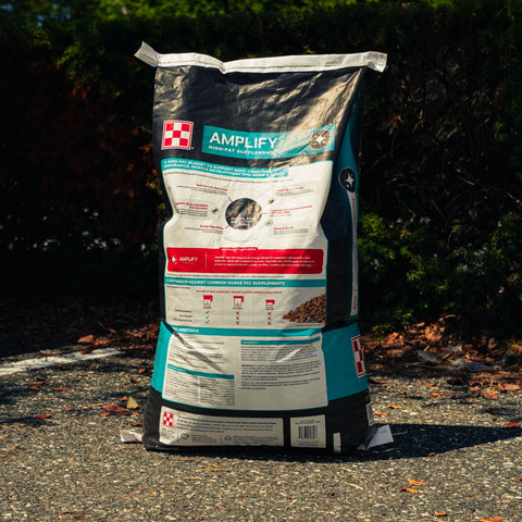 A large bag of Amplify horse food, standing upright on an asphalt surface outdoors with dark green foliage in the background.
