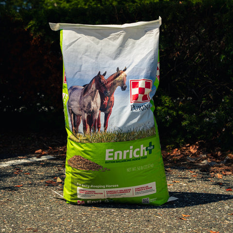 A large bag of Purina Enrich Plus horse supplement standing on asphalt outdoors with dark foliage in the background. The bag is white and bright green with a photo of two horses and the Horning brand logo.