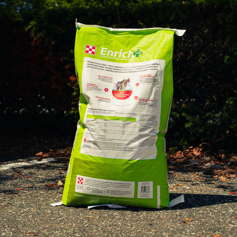 A large green bag of Enrich horse supplement standing upright on asphalt outdoors, with dark foliage in the background. The back of the bag shows product information, a horse illustration, and the Enrich brand name with a red-and-white logo.