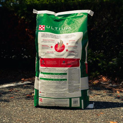 A large green bag of Purina Ultium Growth horse feed stands outdoors on a gravel path with dark green foliage in the background. The bag features photos of a horse and foal and the Purina brand logo.