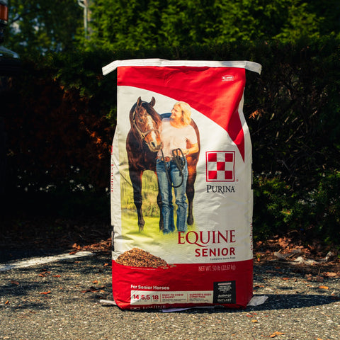 A large bag of Purina Equine Senior horse feed supplement stands outdoors on a gravel surface with dark green hedges in the background. The bag is white and red with a photo of a woman and horse on the front, and the Purina brand logo is clearly visible.
